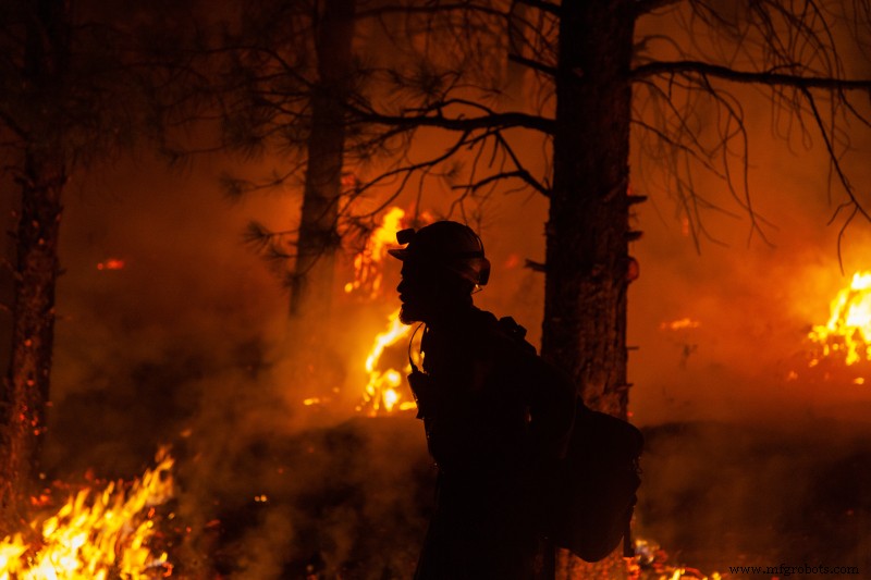 Exploiter l IoT pour la détection et la prévention précoces des incendies de forêt