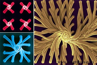 Nanotransporteurs à base de nanofibres et filaments : progression vers l administration précise de médicaments
