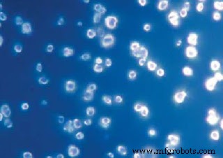 Nanodiamants : capteurs magnétiques ultra-précis pour applications biomédicales et quantiques