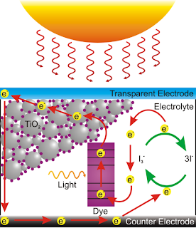 Nano-arbres de nanofils ZnO boostent l efficacité des cellules solaires à colorant sensibilisé