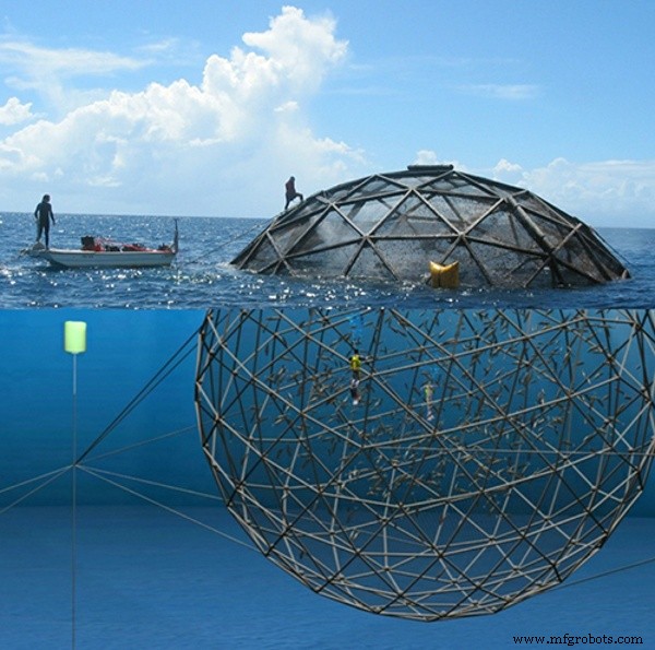 Les Fixations TPU de Craftech Permettent l Aquaculture Mondiale avec une Contenance de Ferme à Poisson Rapide et Durable