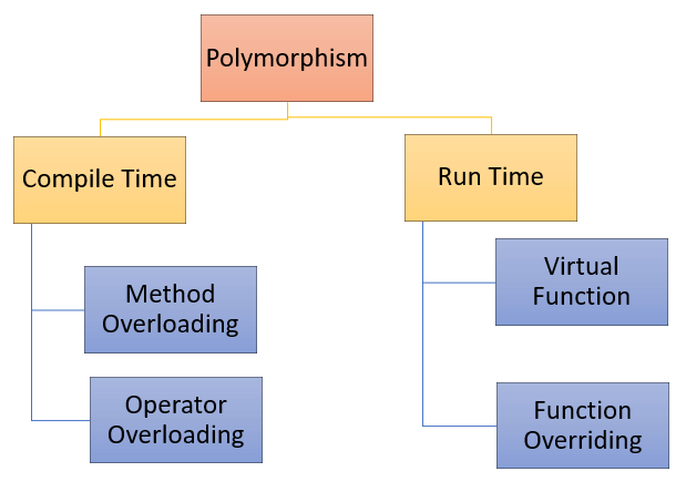 Le polymorphisme en C++ expliqué : Exemples pratiques et concepts clés