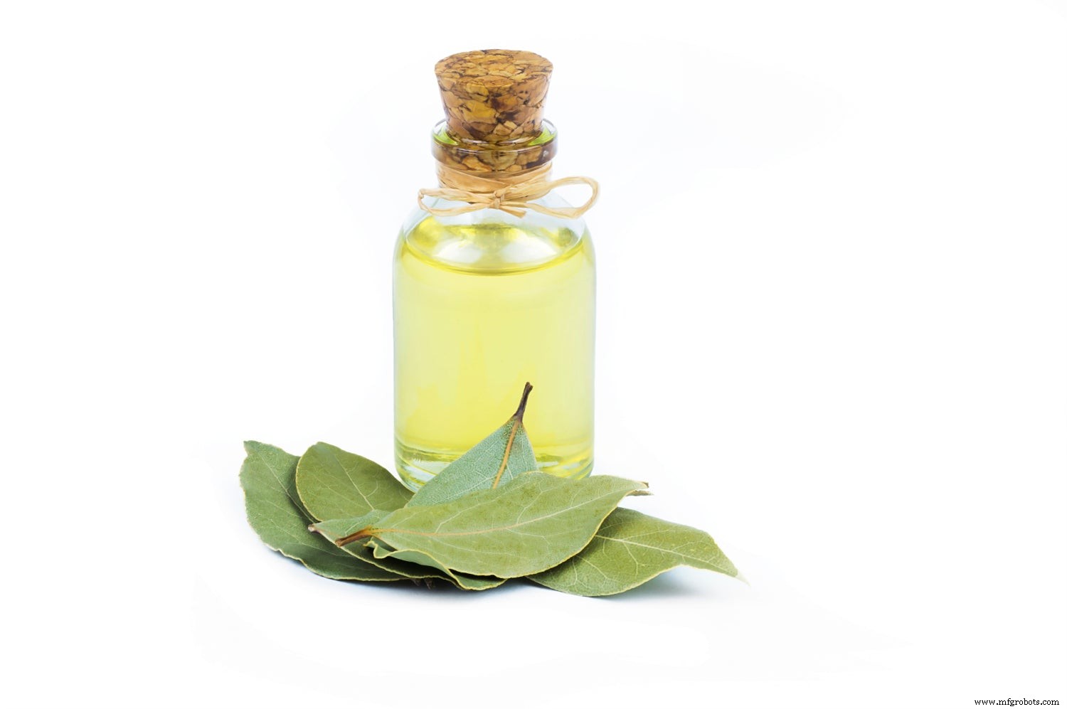 Les 9 bienfaits santé prouvés des feuilles de laurier bio (avec conseils d experts)