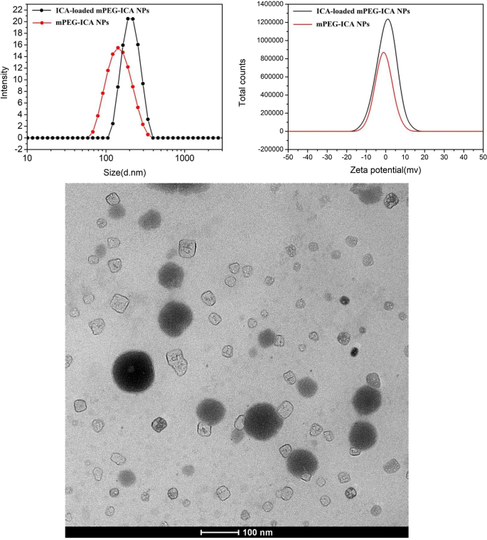 Nanoparticules de mPEG chargées d icariine : protection renforcée contre la cardiotoxicité induite par LPS dans les cellules H9c2