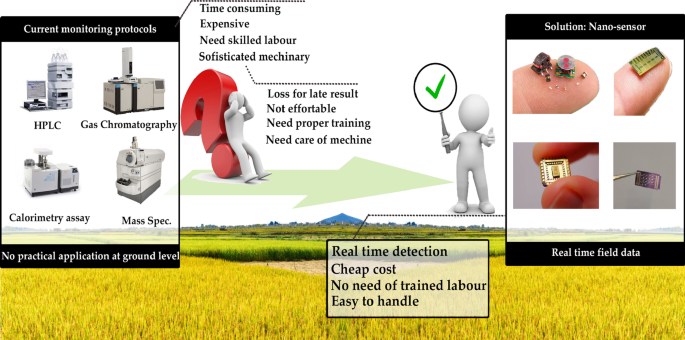 Biosenseurs et nanosenseurs pour la surveillance des agroécosystèmes : Revue exhaustive
