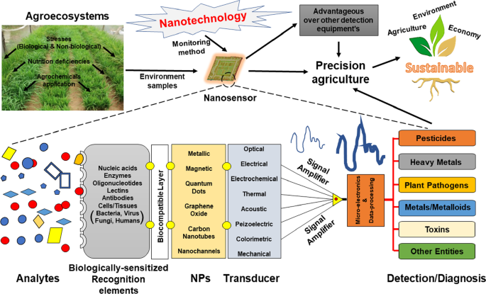 Biosenseurs et nanosenseurs pour la surveillance des agroécosystèmes : Revue exhaustive