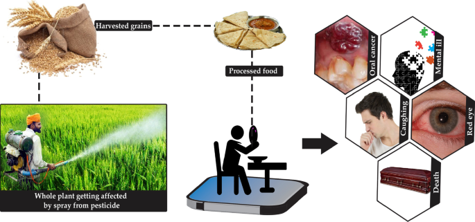 Biosenseurs et nanosenseurs pour la surveillance des agroécosystèmes : Revue exhaustive