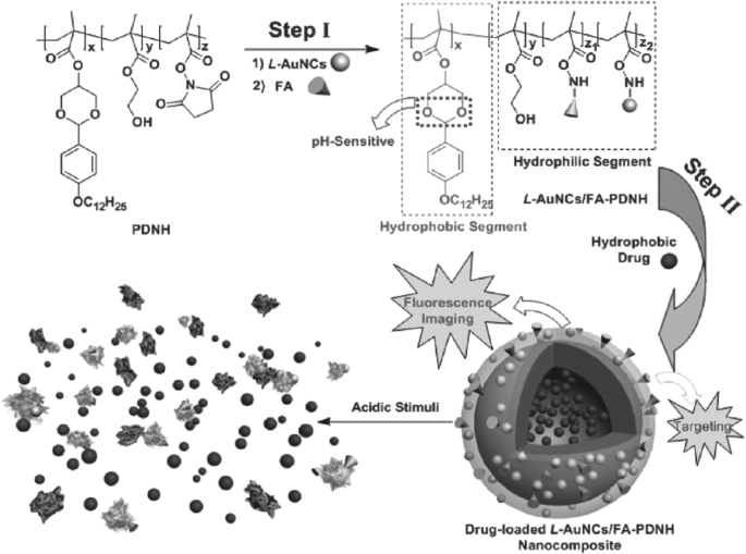 Applications biomédicales des nanoclusters d or : avancées récentes et orientations futures