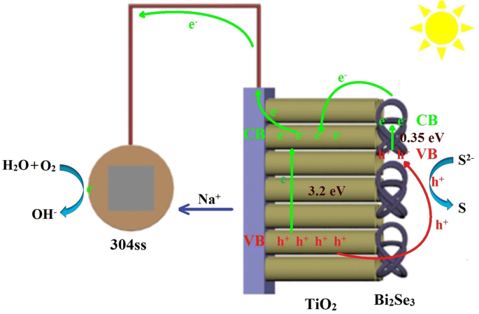 Protection photocathodique visible de l acier inoxydable 304 par films de nanotubes TiO₂ sensibilisés au Bi₂Se₃