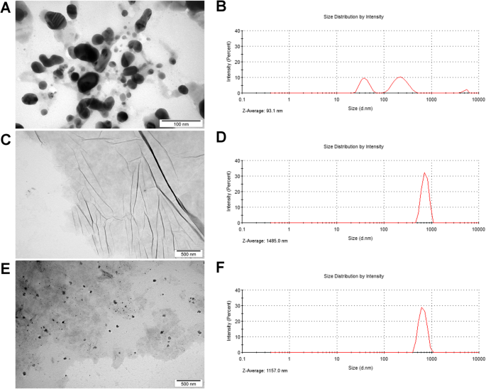 Réduction de la cytotoxicité des revêtements nanoparticules d argent par oxyde de graphène : performance antibactérienne et biocompatibilité améliorées du nanocomposite Ag-GO