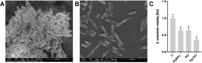 Réduction de la cytotoxicité des revêtements nanoparticules d argent par oxyde de graphène : performance antibactérienne et biocompatibilité améliorées du nanocomposite Ag-GO