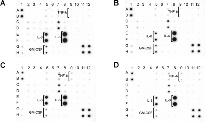 Réduction de la cytotoxicité des revêtements nanoparticules d argent par oxyde de graphène : performance antibactérienne et biocompatibilité améliorées du nanocomposite Ag-GO