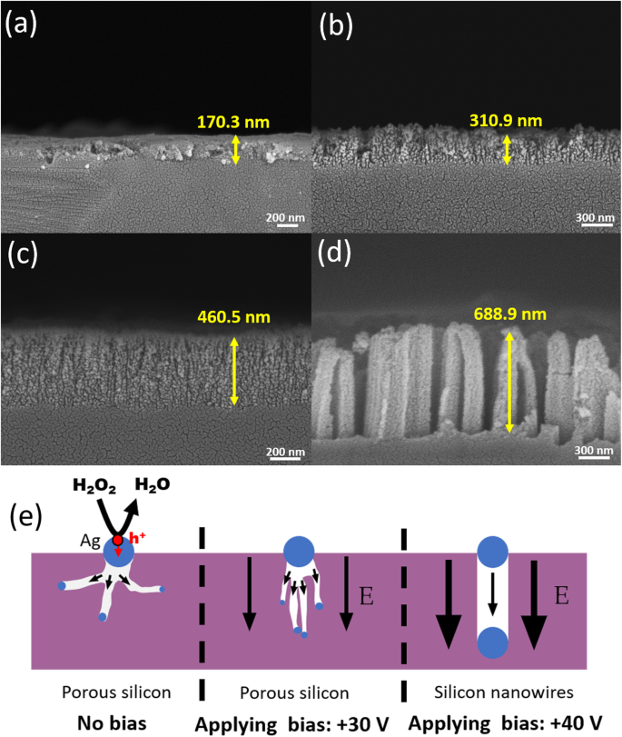 Réseaux de nanofils de silicium à croissance accélérée et orientation contrôlée par gravure chimique assistée par métal et champ électrique