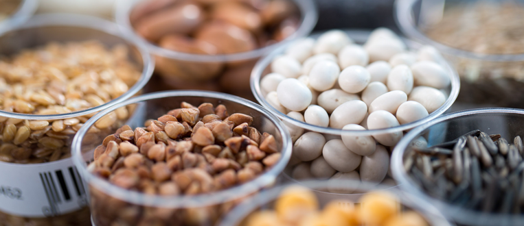 Comment une forte culture de la sécurité alimentaire booste la rentabilité des fabricants
