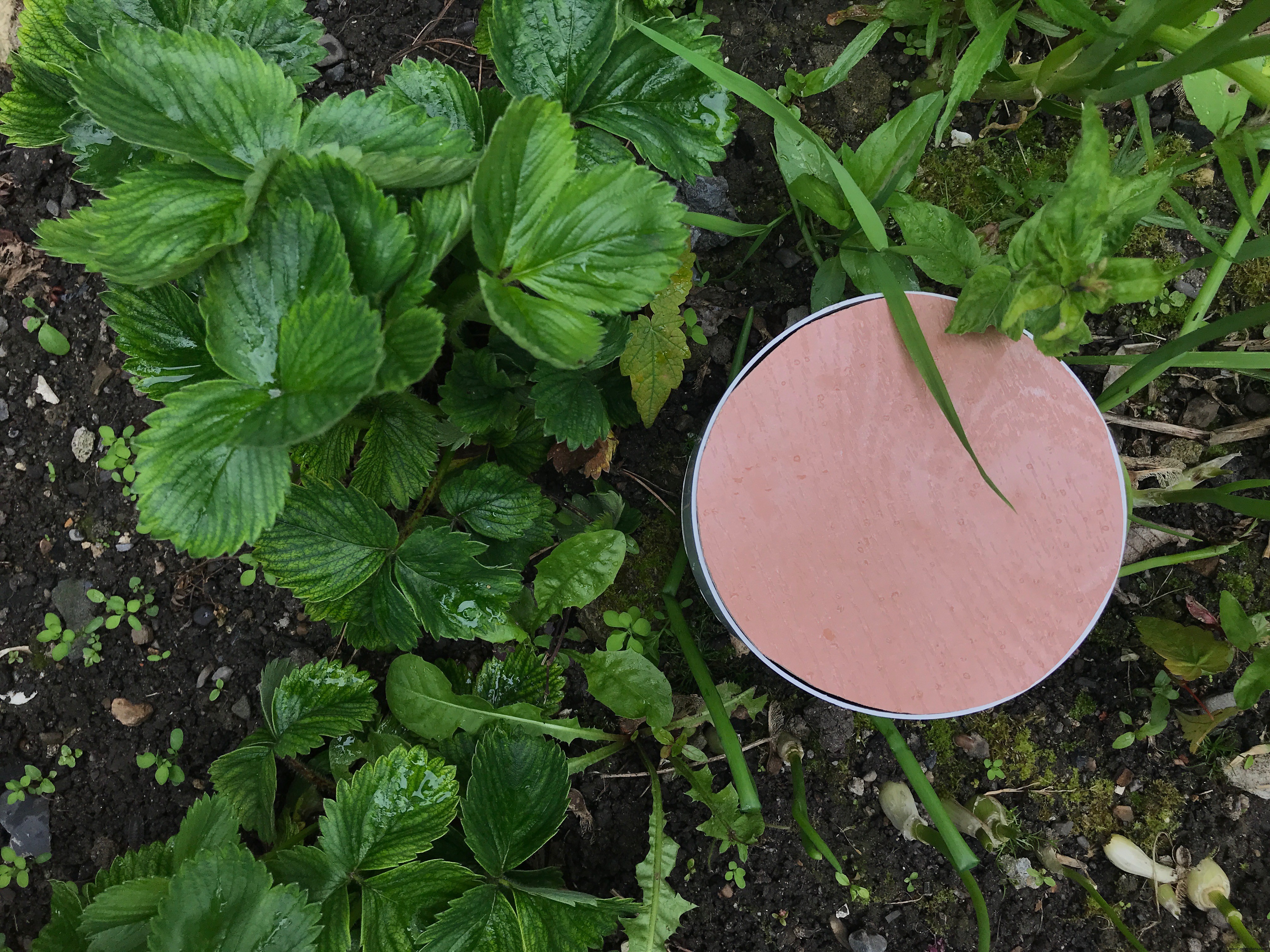 SmartAgro : Solutions IoT Avancées pour l Agriculture de Précision