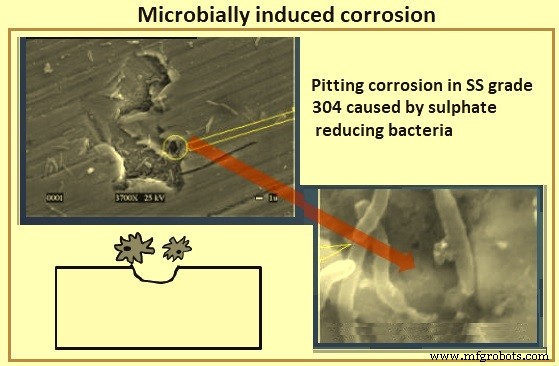 Fondamentaux de la Corrosion du Fer et de l Acier : Causes, Effets et Prévention