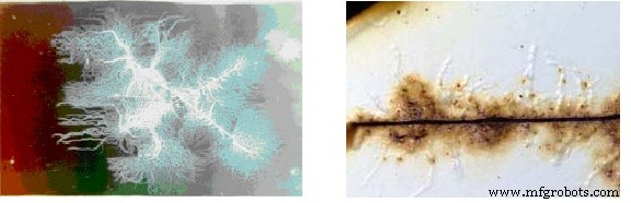 Prévenir la Corrosion Filiforme : Stratégies Expertes pour la Protection Sous Revêtement